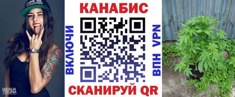 Бошки Шишки Тында