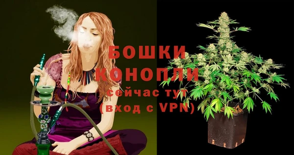 PSILOCYBIN Абаза