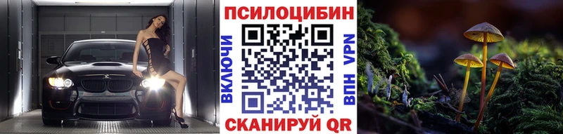 где купить наркоту  Тында  Галлюциногенные грибы ЛСД 